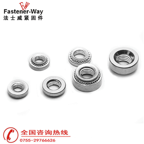 法士威帶齒漲鉚螺母定制 法士威帶齒漲鉚螺母定制