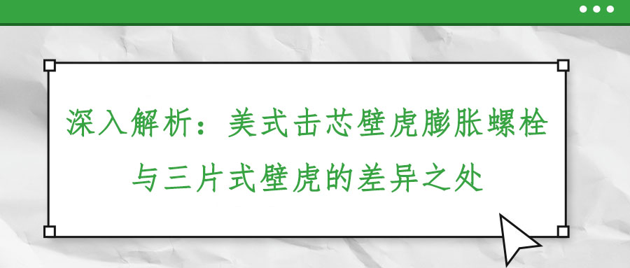 深入解析:美式擊芯壁虎膨脹螺栓與三片式壁虎的差異之處